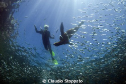 snorkeling by Claudio Stoppato 